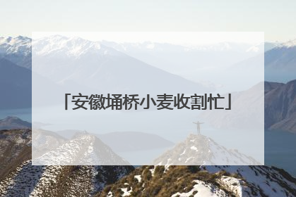 安徽埇桥小麦收割忙