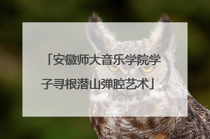 安徽师大音乐学院学子寻根潜山弹腔艺术