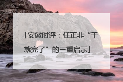 安徽时评：任正非“干就完了”的三重启示