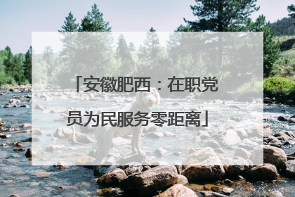 安徽肥西：在职党员为民服务零距离