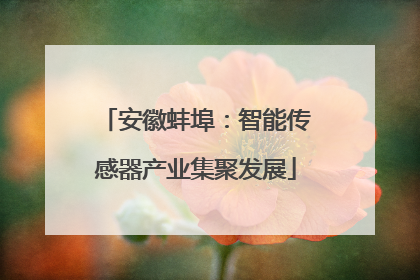 安徽蚌埠：智能传感器产业集聚发展