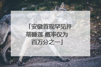安徽首现罕见并蒂睡莲 概率仅为百万分之一
