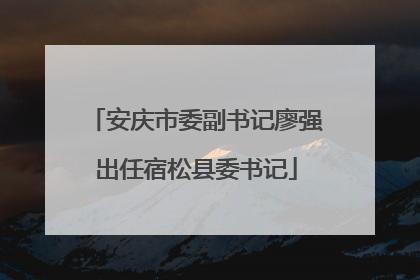 安庆市委副书记廖强出任宿松县委书记