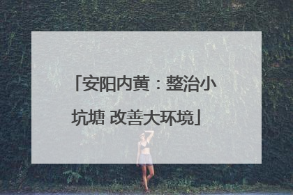 安阳内黄：整治小坑塘 改善大环境