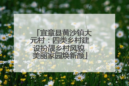 宜章县黄沙镇大元村：四类乡村建设扮靓乡村风貌 美丽家园焕新颜