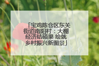 宝鸡陈仓区东关街道南阳村：大棚经济结硕果 绘就乡村振兴新图景