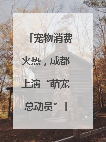 宠物消费火热，成都上演“萌宠总动员”
