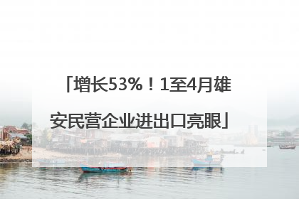 增长53%！1至4月雄安民营企业进出口亮眼