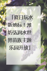 夏日玩水新地标！潍坊弘润水世界苗族主题乐园开放