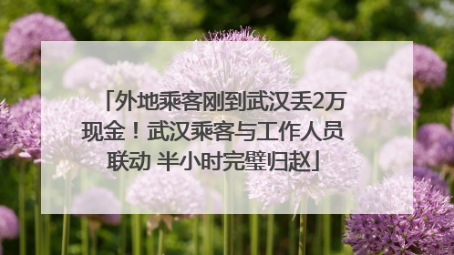 外地乘客刚到武汉丢2万现金！武汉乘客与工作人员联动 半小时完璧归赵