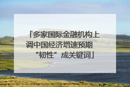 多家国际金融机构上调中国经济增速预期 “韧性”成关键词