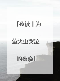 夜读丨为萤火虫哭泣的夜晚