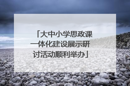 大中小学思政课一体化建设展示研讨活动顺利举办