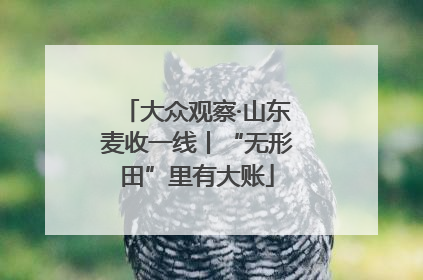大众观察·山东麦收一线丨“无形田”里有大账