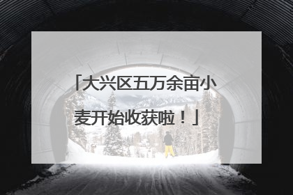 大兴区五万余亩小麦开始收获啦！