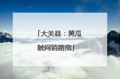 大关县：黄瓜触网销路宽