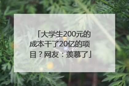 大学生200元的成本干了20亿的项目？网友：羡慕了