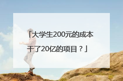 大学生200元的成本干了20亿的项目？
