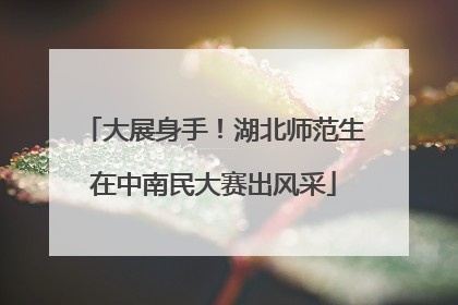 大展身手！湖北师范生在中南民大赛出风采