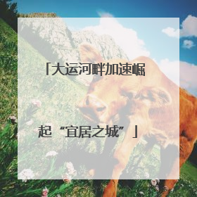 大运河畔加速崛起“宜居之城”
