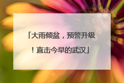大雨倾盆，预警升级！直击今早的武汉