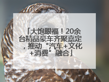 大饱眼福！20余台精品豪车齐聚嘉定，推动“汽车+文化+消费”融合