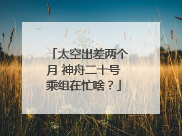 太空出差两个月 神舟二十号乘组在忙啥？
