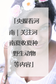央媒看河南｜关注河南夏收夏种 野生动物等内容
