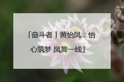 奋斗者丨黄怡凤：怡心筑梦 凤舞一线