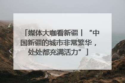 媒体大咖看新疆丨“中国新疆的城市非常繁华，处处都充满活力”
