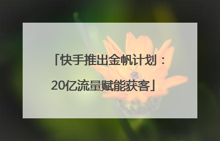 快手推出金帆计划：20亿流量赋能获客