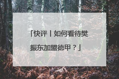 快评丨如何看待樊振东加盟德甲？