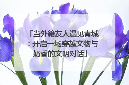 当外籍友人遇见青城：开启一场穿越文物与奶香的文明对话
