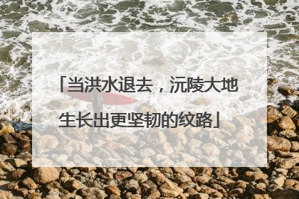 当洪水退去，沅陵大地生长出更坚韧的纹路