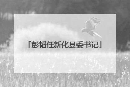 彭韬任新化县委书记