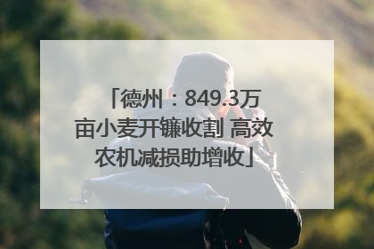 德州：849.3万亩小麦开镰收割 高效农机减损助增收