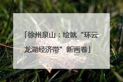 徐州泉山：绘就“环云龙湖经济带”新画卷