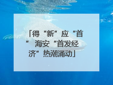 得“新”应“首” 海安“首发经济”热潮涌动