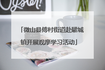 微山县傅村街道赴驩城镇开展观摩学习活动