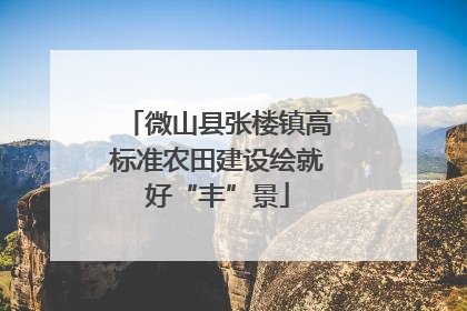 微山县张楼镇高标准农田建设绘就好“丰”景