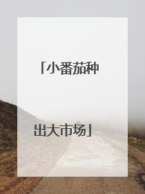 小番茄种出大市场
