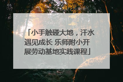 小手触碰大地，汗水遇见成长 乐师附小开展劳动基地实践课程