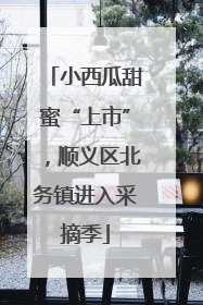小西瓜甜蜜“上市”，顺义区北务镇进入采摘季