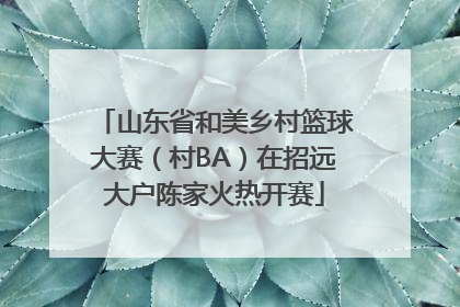 山东省和美乡村篮球大赛（村BA）在招远大户陈家火热开赛