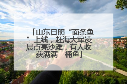 山东日照“面条鱼”上线，赶海大军凌晨点亮沙滩，有人收获满满一桶鱼