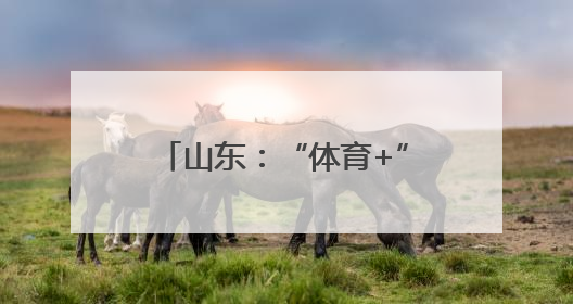 山东：“体育+”健康 尽显新气象