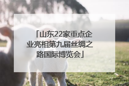 山东22家重点企业亮相第九届丝绸之路国际博览会