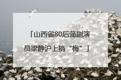 山西省80后蒲剧演员梁静沪上摘“梅”