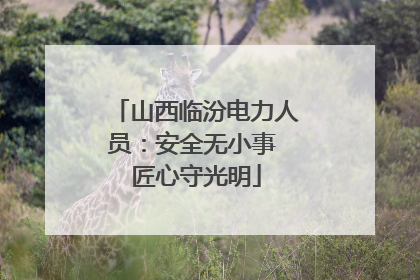 山西临汾电力人员：安全无小事 匠心守光明