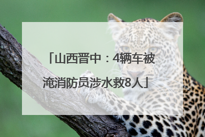 山西晋中：4辆车被淹消防员涉水救8人